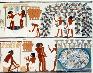 Egyptisk kunst: Plukking og tråkking av druer. Nakhts grav, Amenhotep IIs periode (ca. 1450-1425 f.Kr.). Paris, Collège de France