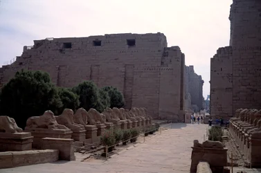 Egyptisk antikvitet: allee (dromos) av criosfinxen (sfinxen i spissen for beliers) i Karnak, Luxor, Egypt