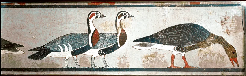 Gjess, detalj av et panel fra Mastaba of Itet, kone til Nefermaat, Meidoum (malt kalkstein)