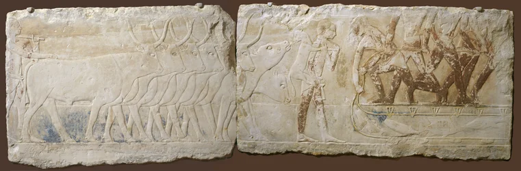Relieff of Peasants Driving Cattle and Fishing, Old Kingdom, 2450-2290 BC (malt kalkstein)