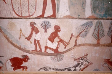 Scene med jordbruk (klipping og hogging av ved), fra graven til Scribe Menna, Egypt, Sheikh Abd el-Qurna, Adelsdalen