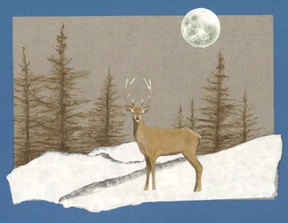 Nattmøte, 2012 (akvarell på papir og collage)