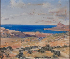 Strand med blått hav