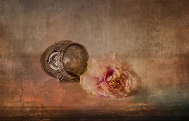 Rosa pion og minnesak