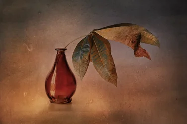 Rød vase med høstløv