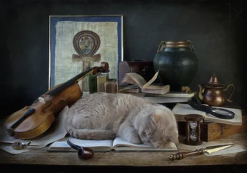 «Den sovende kattens arbeidsrom»