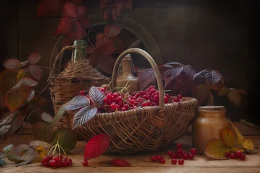 Stilleben med skarlagenrøde viburnum-høstgrener og bær i vintage-stil.