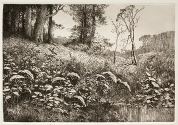 En sommerettermiddag, 1882.