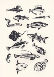 Monotone Plain Fish, 2015 (skjermtrykk)