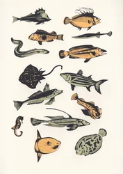 Plain Fish, 2015 (skjermtrykk)