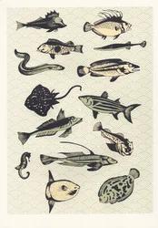 Yellow Japanese Fish, 2016 (skjermtrykk)
