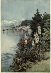 A Group of Yuccas, Villa Melzi, Lago di Como, illustrasjon fra 'The Italian lakes' av Richard Bagot