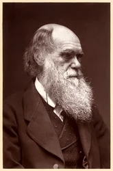 Charles Darwin: engelsk naturforsker