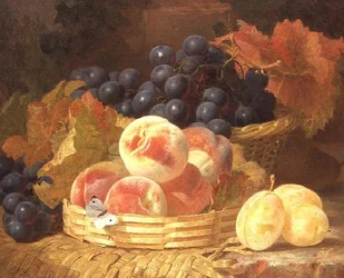 Stilleben med frukt og en sommerfugl