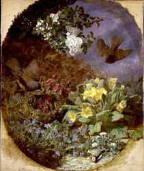 Wrens feeding their young in a reir (s. & d. 1876)