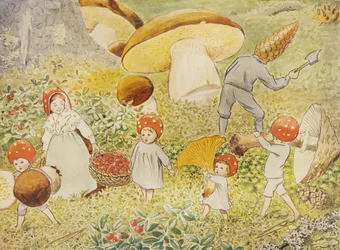 Tomtebobarnen Mushroom Kids