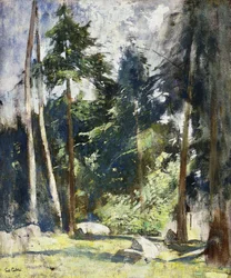 Høye Pines