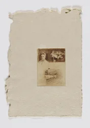 Tre studioer (fm. portefølje)