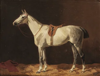 En salet grå hest venter i en stall