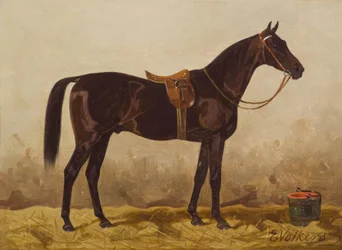 E. Volkers, salet svart hest
