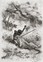 En leopard som angriper en afrikaner, illustrasjon fra 