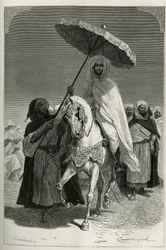 Sultan Hassan I av Marokko