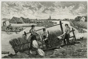 Rusten av lin (maserasjon for å lette separasjonen av barken fra stilken) i Lys (elven nord for Frankrike og Belgia). Gravering av Emile Claus, for å illustrere historien "" La Belgique"", av Camille Lemonnier (1844) -1913), forfatter og kunstkritiker.