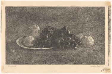 Skål med druer og annen frukt