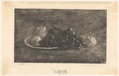 Skål med druer og annen frukt