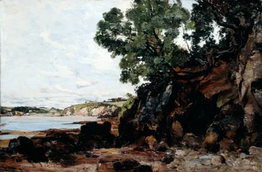 Douarnenez, 1884.