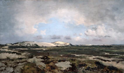 I sanddynene, 1881