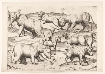 Ni dyr Dyr til antikke veggmalerier (serietittel) Speculum Romanae Magnificentiae (serietittel)