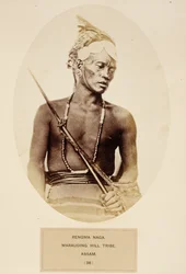 Rengma Naga, Marauding Hill Tribe, Assam, fra The People of India, av J. Forbes Watson, utgitt 1868 (albumtrykk)