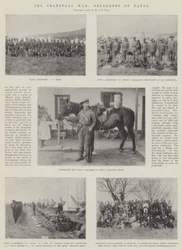 Transvaal-krigen, Defenders of Natal