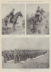 Transvaal-krigen, tropper for fronten