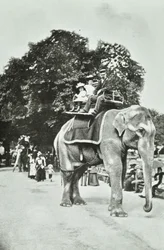 Zoological Gardens, Regents Park: elefantritt, London, ca. 1895
