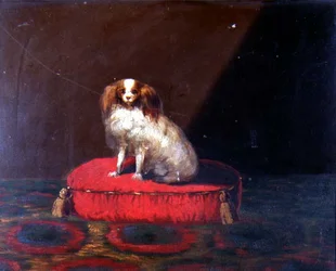En King Charles Spaniel på en rød pute, Provincial School