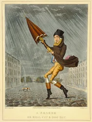 A Soaker or Real Cat and Dog Day, gravert av G. Hunt, utgitt av Thomas McLean, London, 1827 (farget etsning)
