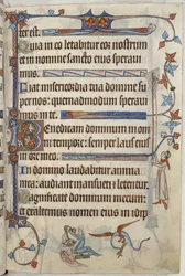 Legge til. 42130, f.63 Dame på toalettet hennes, illustrasjon fra 'The Luttrell Psalter', ca. 1321-35 (vellum)