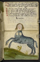 Legg til MS 57312 f13 spillbok (blekk og farge på pergament)