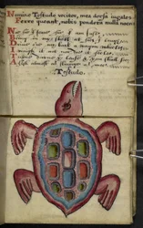 Legg til MS 57312 f.5 spillbok (blekk og farge på vellum)
