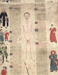 Anatomisk diagram, fra De arte phisicali e de cirugia av John Ardene, 1412