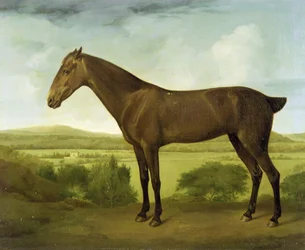 Brun hest i et kupert landskap, ca. 1780-1800
