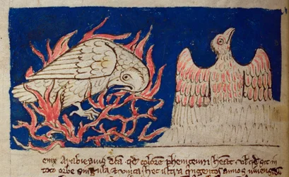 CCA-LitMs/D/10 fol. 17v Pheonix, fra Bestiary