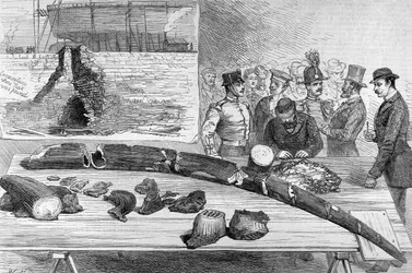 Oppdagelse av fossile rester i Leghorn, Toscana, fra The Illustrated London News, 21. januar 1882
