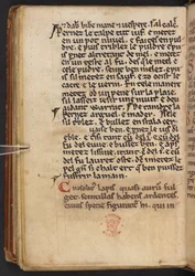 Utdrag fra Henry av Huntingdons Historia Anglorum, Cotton MS Titus D XXIV, f.132v (vellum)