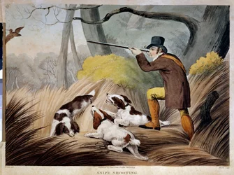 Jakt på nebb i England. Akvarellgravering fra 1800-tallet. Gien, jaktmuseum.