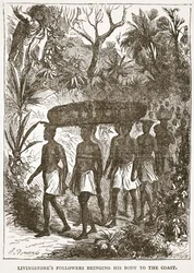Livingstones tilhengere som bringer kroppen hans til kysten, illustrasjon fra The Pictorial Edition of the Life and Discoveries of David Livingstone av J. Ewing Richie, pub. av A. Fullarton & Co., 1876 (li