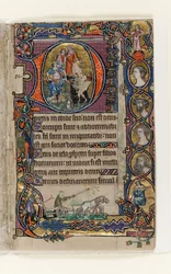 MS 1-2005, fol. 77r: David and the Fool, historisk initial fra Macclesfield Psalter, Use of Sarum, East Anglia, ca. 1330