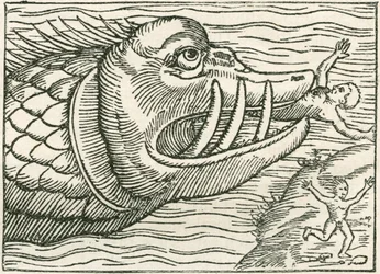 Mann blir spist av en sjøorm. Illustrasjon funnet i margen på kart utarbeidet av Olaus Magnus